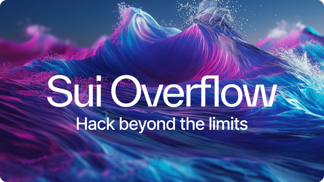 Sui Overflow: Hack beyond the limits